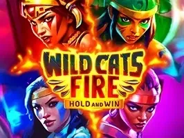 ไฟป่าแมว thumbnail